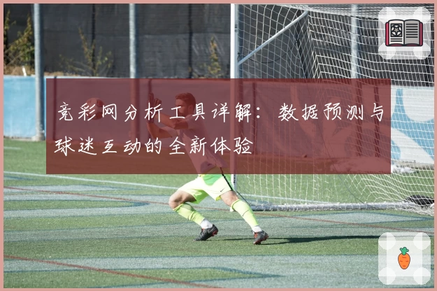 竞彩网分析工具详解：数据预测与球迷互动的全新体验
